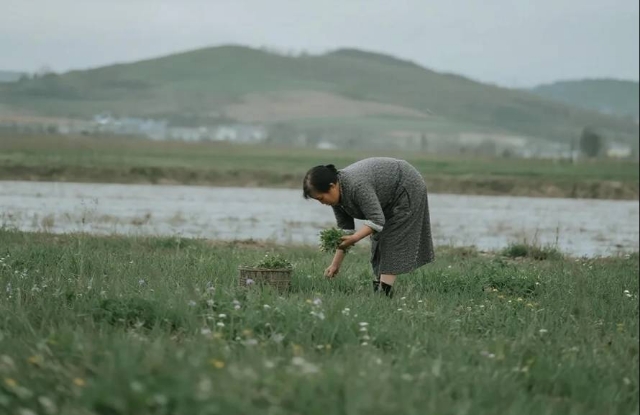 十年难忘一碗饺香：西安阿姨温暖初入异乡的归心
