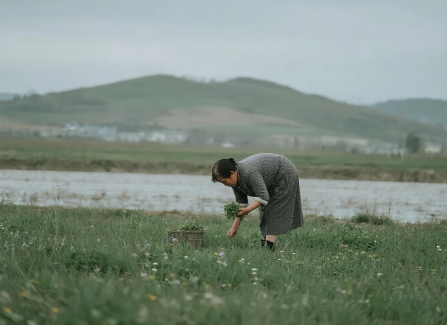 暖心故事——十年难忘一碗饺香